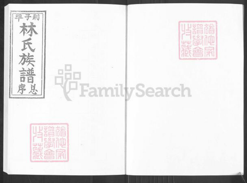 山东省烟台市栖霞市桃村镇林氏族谱-林氏族谱.pdf电子版插图2