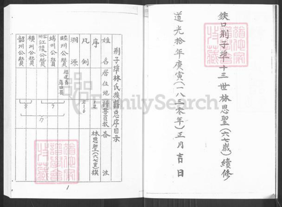 山东省烟台市栖霞市桃村镇林氏族谱-林氏族谱.pdf电子版插图3