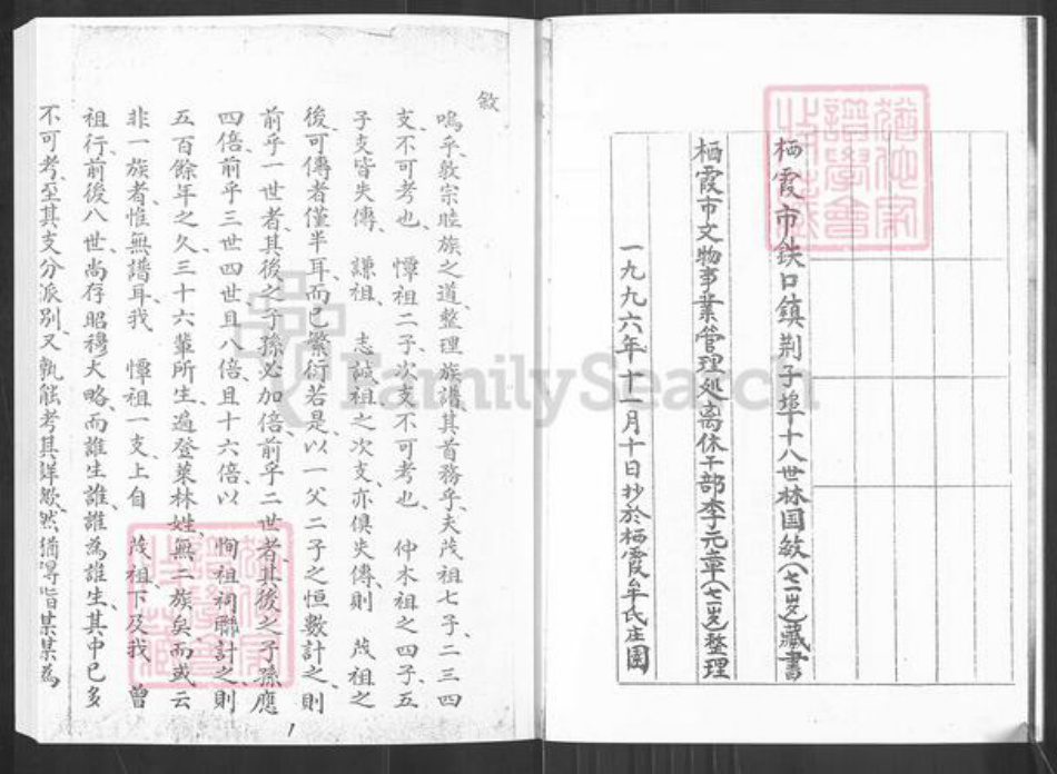 山东省烟台市栖霞市桃村镇林氏族谱-林氏族谱.pdf电子版插图5