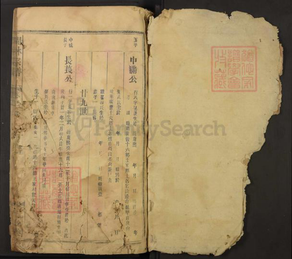 江西省上饶市广丰区林氏九牧堂族谱-闽林宗谱.pdf电子版插图1