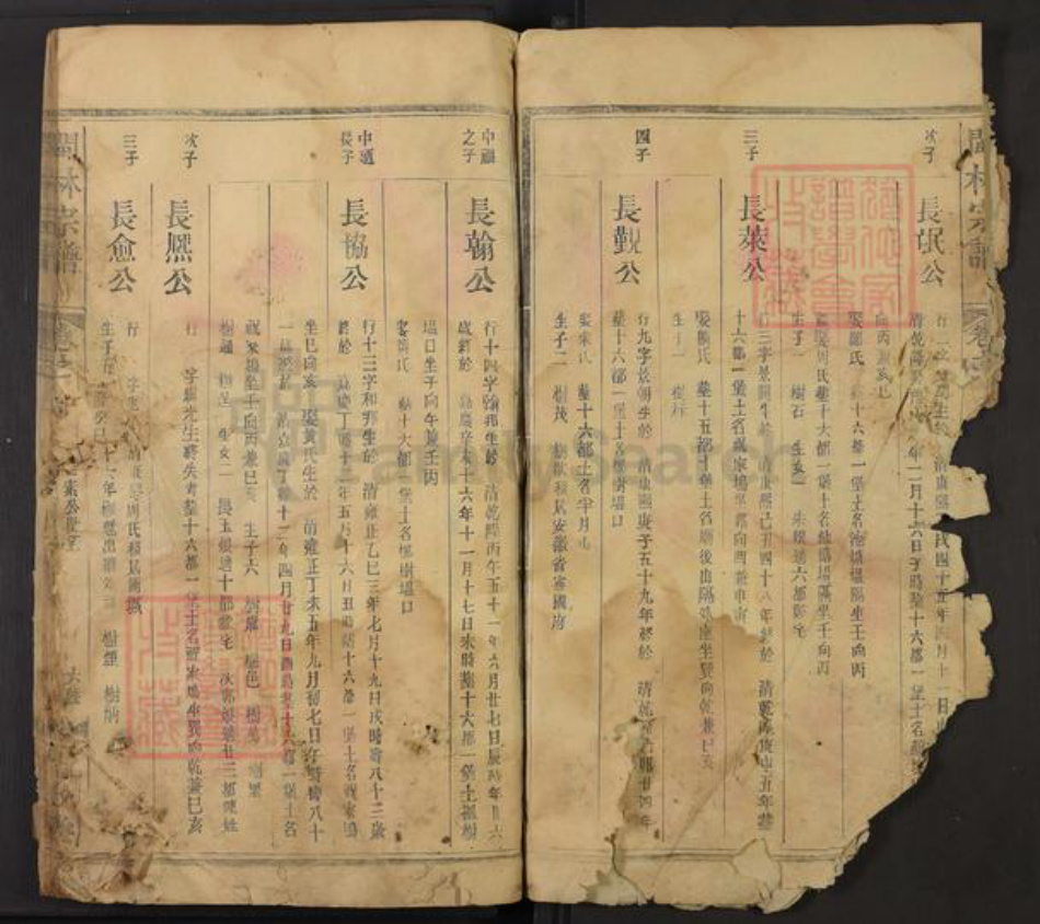 江西省上饶市广丰区林氏九牧堂族谱-闽林宗谱.pdf电子版插图2