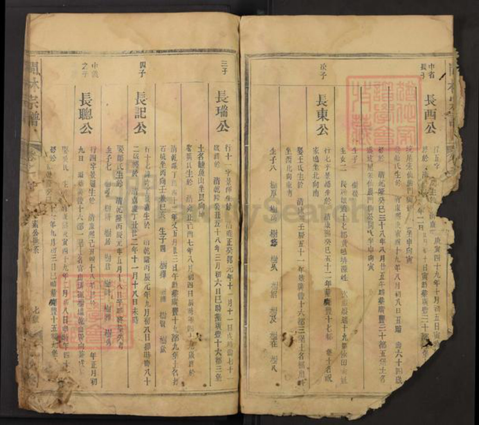 江西省上饶市广丰区林氏九牧堂族谱-闽林宗谱.pdf电子版插图3
