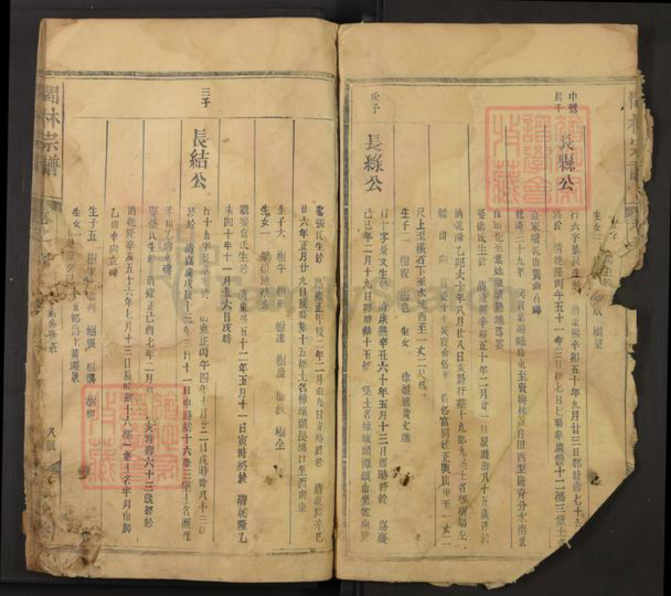 江西省上饶市广丰区林氏九牧堂族谱-闽林宗谱.pdf电子版插图4