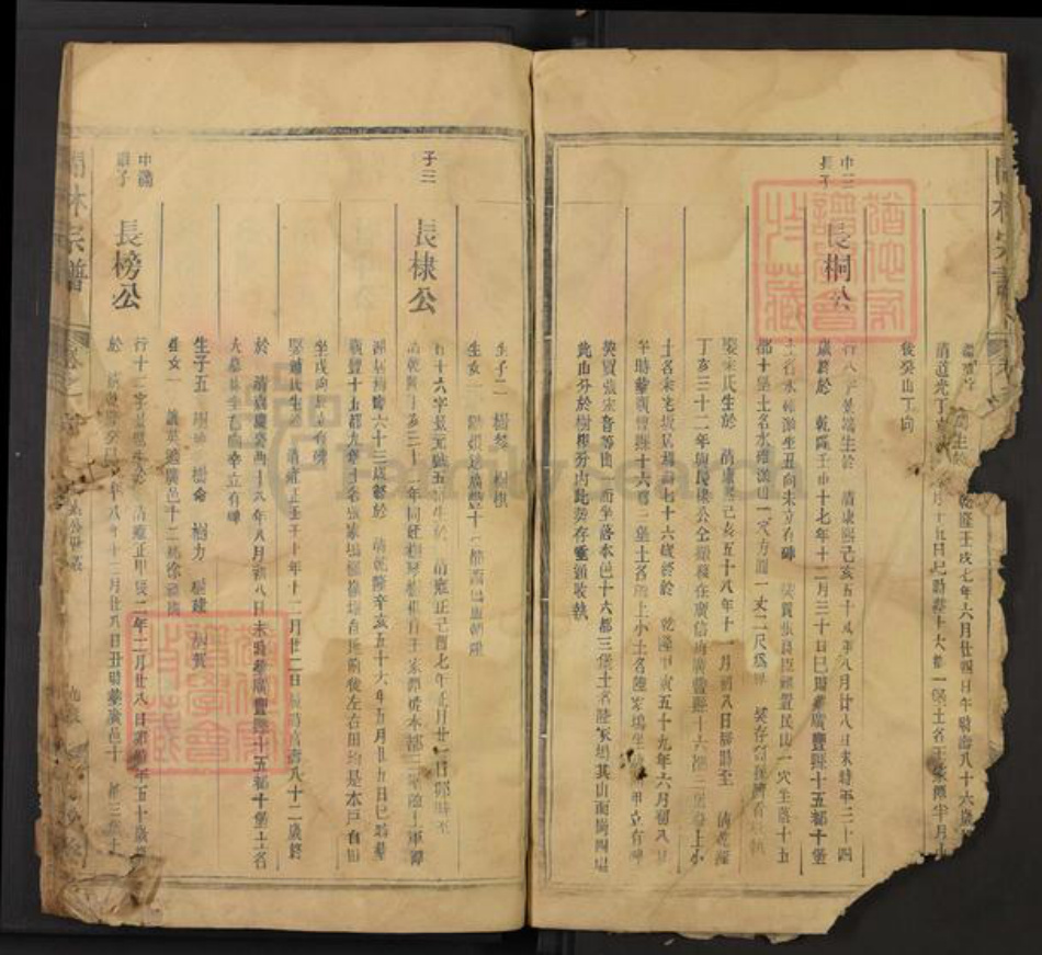 江西省上饶市广丰区林氏九牧堂族谱-闽林宗谱.pdf电子版插图5