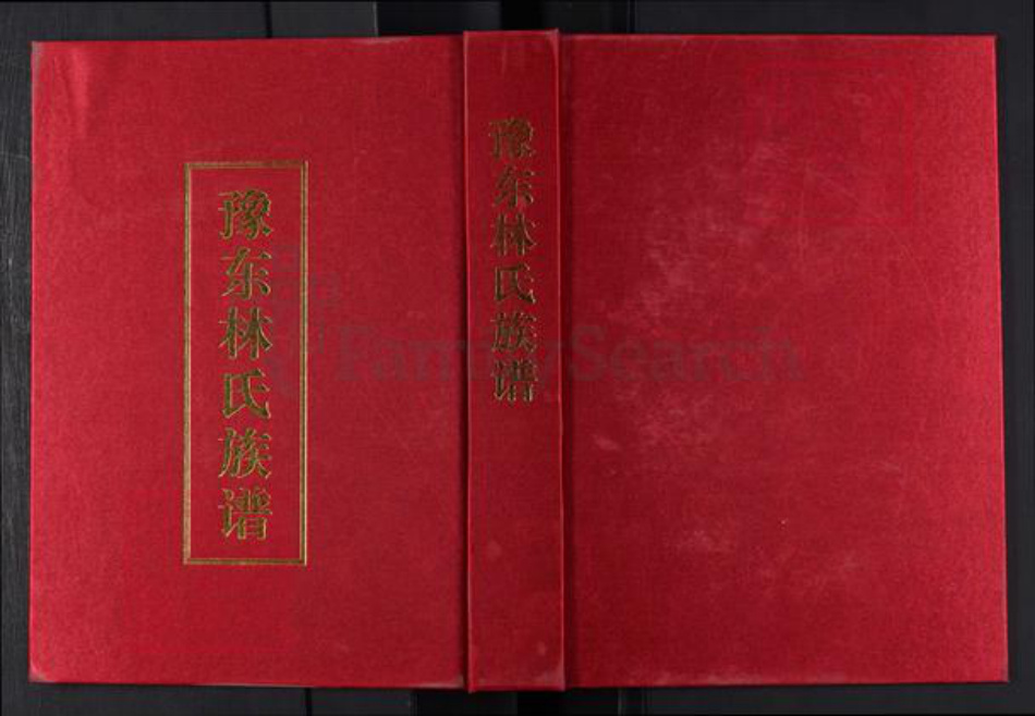河南省周口市扶沟县林氏族谱-豫东林氏族谱.pdf电子版插图