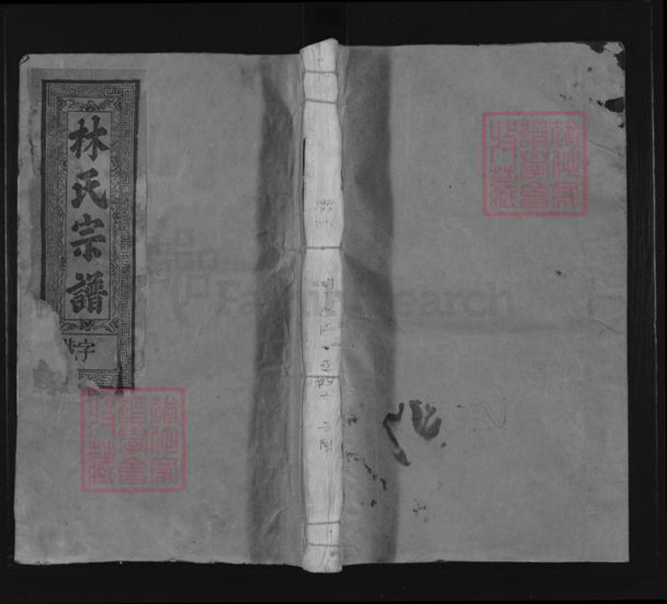 陕西省渭南市大荔县林氏九牧堂族谱-林氏宗谱.pdf电子版插图