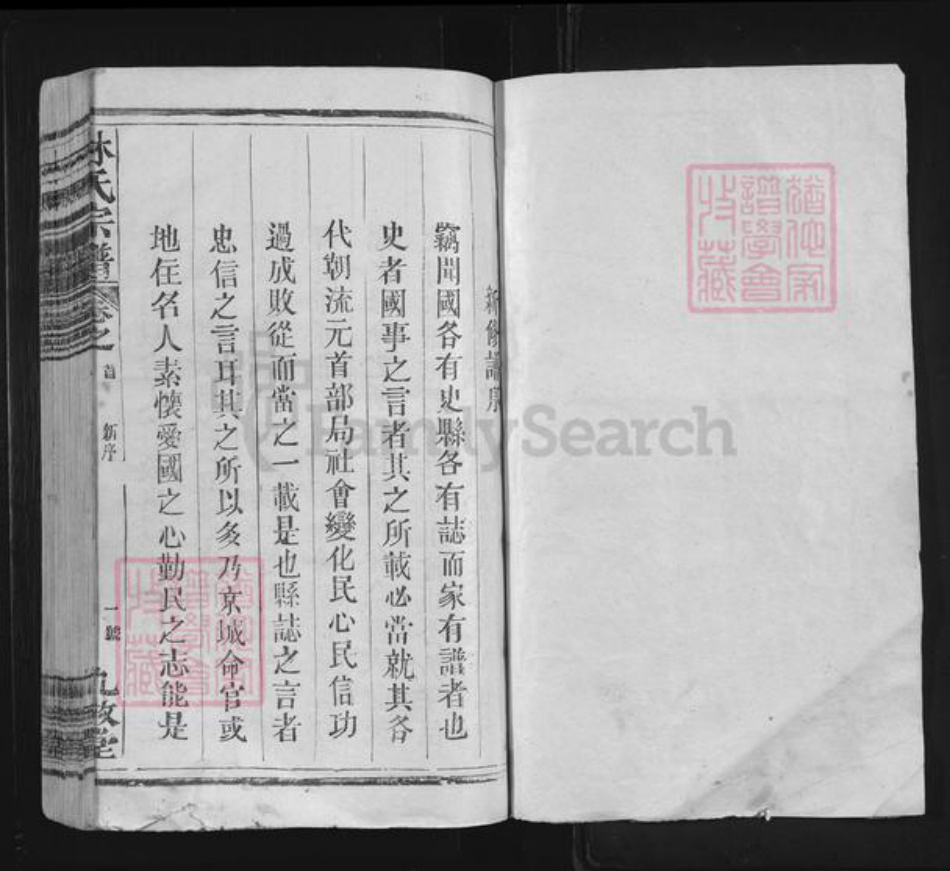 陕西省渭南市大荔县林氏九牧堂族谱-林氏宗谱.pdf电子版插图1
