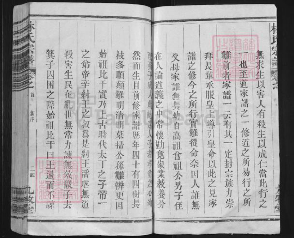 陕西省渭南市大荔县林氏九牧堂族谱-林氏宗谱.pdf电子版插图2
