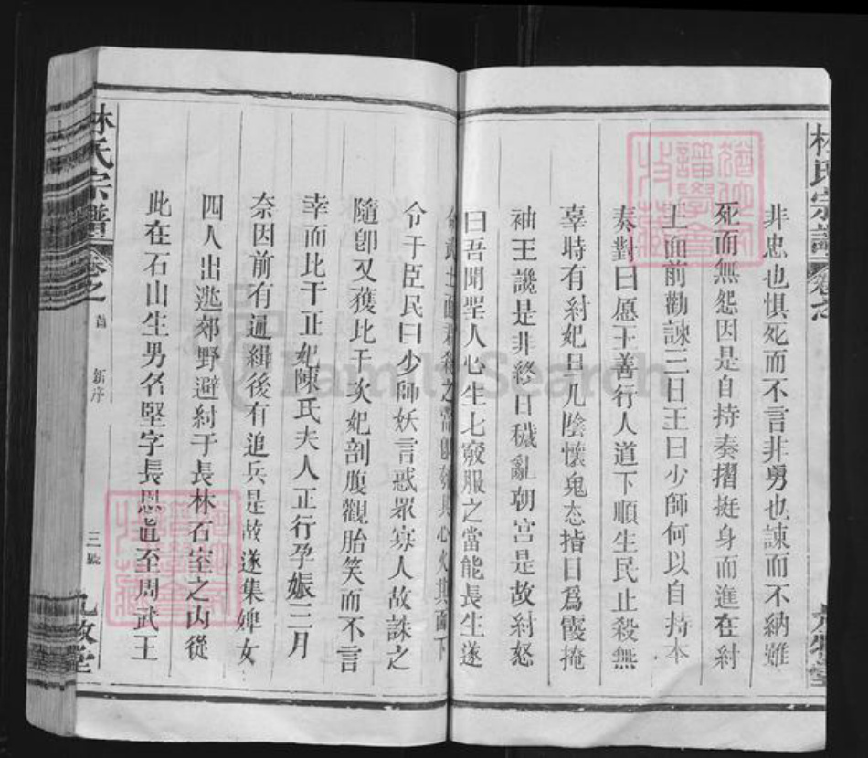 陕西省渭南市大荔县林氏九牧堂族谱-林氏宗谱.pdf电子版插图3