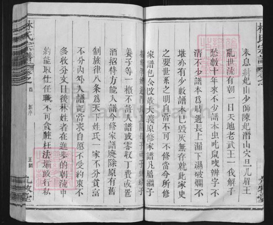 陕西省渭南市大荔县林氏九牧堂族谱-林氏宗谱.pdf电子版插图5