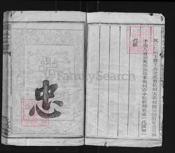 福建省莆田市林氏九牧堂族谱-闽林宗谱.pdf电子版插图2