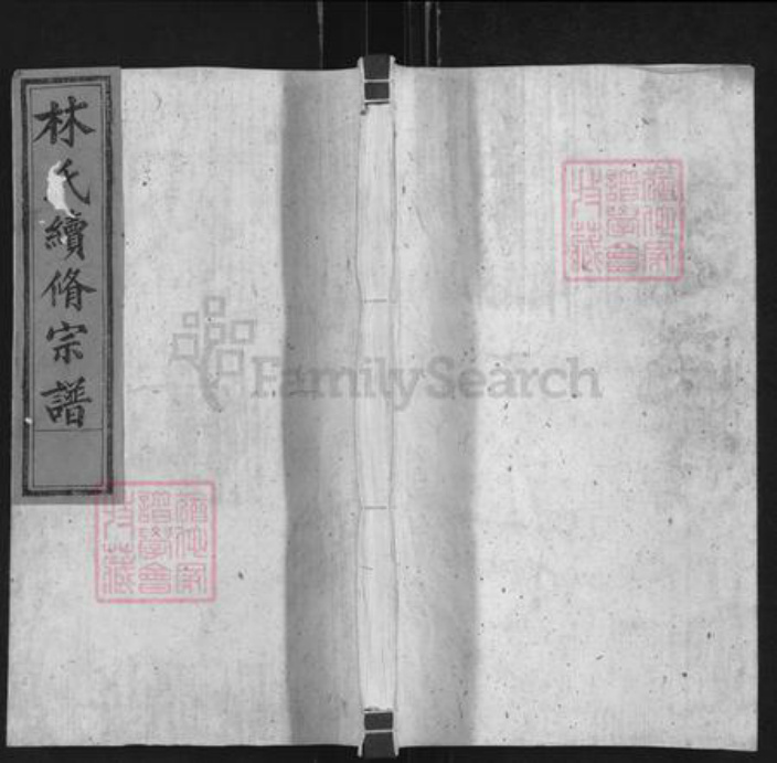 福建省泉州市永春县石鼓镇林氏九牧堂族谱-林氏续修宗谱.pdf电子版插图