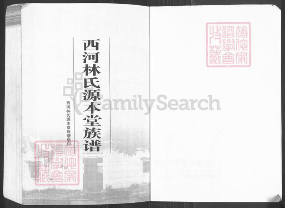 广东省潮州市潮安区龙湖镇林氏源本堂族谱-西河林氏源本堂族谱.pdf电子版插图1