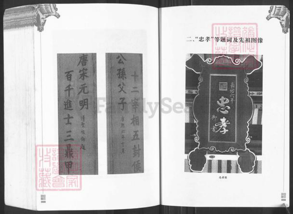 广东省潮州市潮安区龙湖镇林氏源本堂族谱-西河林氏源本堂族谱.pdf电子版插图4