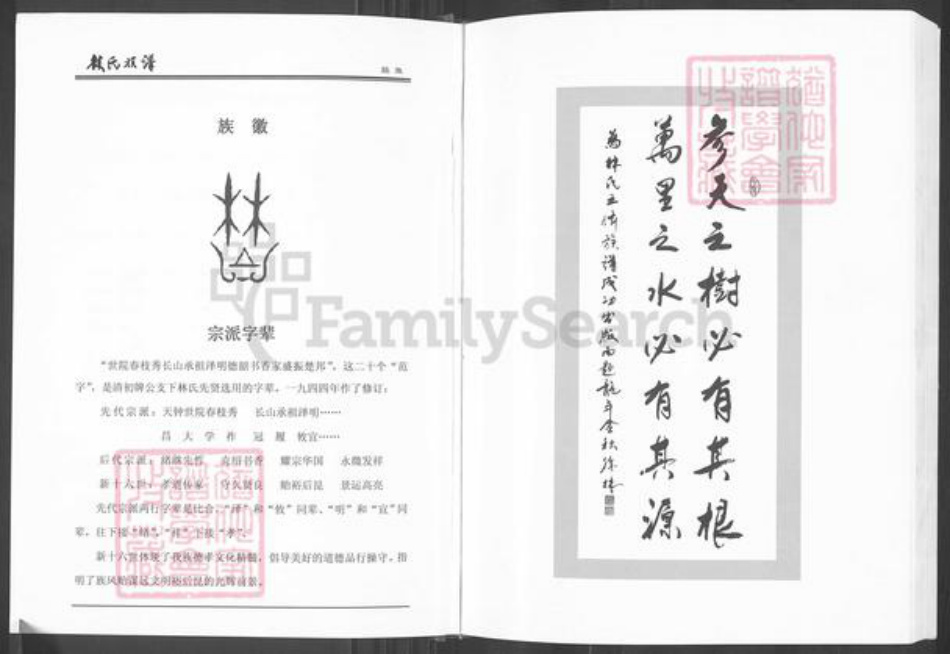 湖南省常德市临澧县安福街道林氏九牧堂族谱-林氏族谱.pdf电子版插图2
