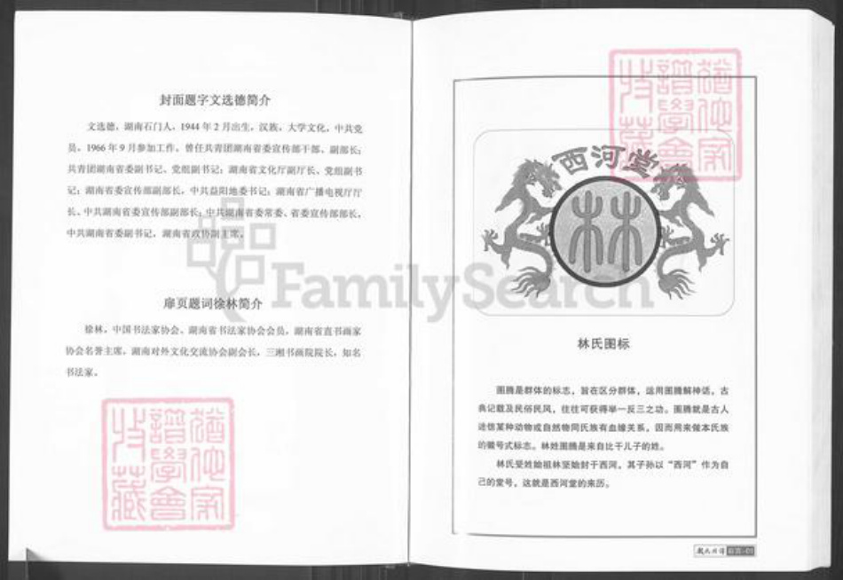 湖南省常德市临澧县安福街道林氏九牧堂族谱-林氏族谱.pdf电子版插图3