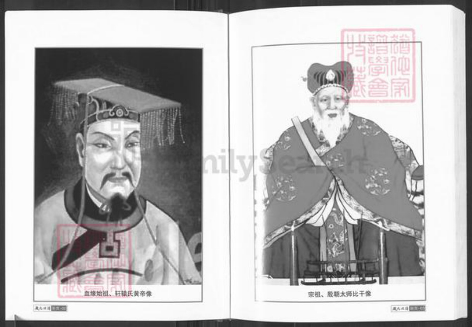 湖南省常德市临澧县安福街道林氏九牧堂族谱-林氏族谱.pdf电子版插图4