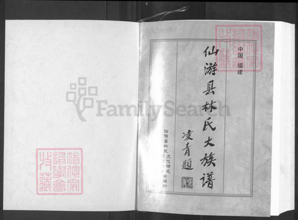 福建省莆田市仙游县赖店镇林氏忠孝堂族谱-仙游县林氏大族谱.pdf电子版插图1