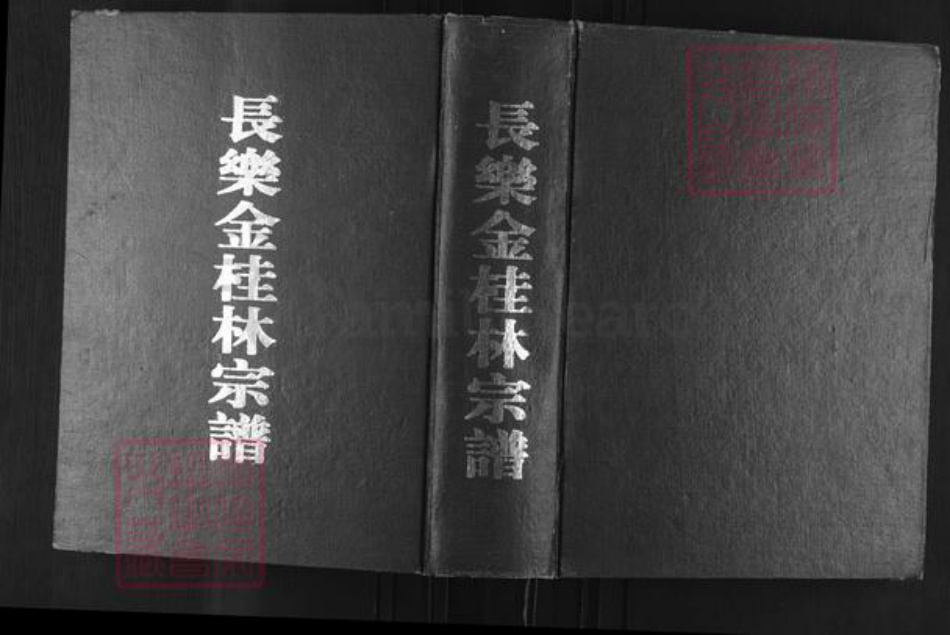 福建省福州市长乐区林氏思德堂族谱-长乐金桂林宗谱.pdf电子版插图