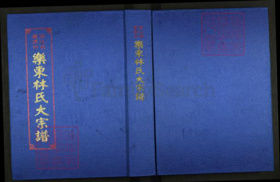 浙江省温州市乐清市林氏族谱-乐东林氏大宗谱.pdf电子版插图