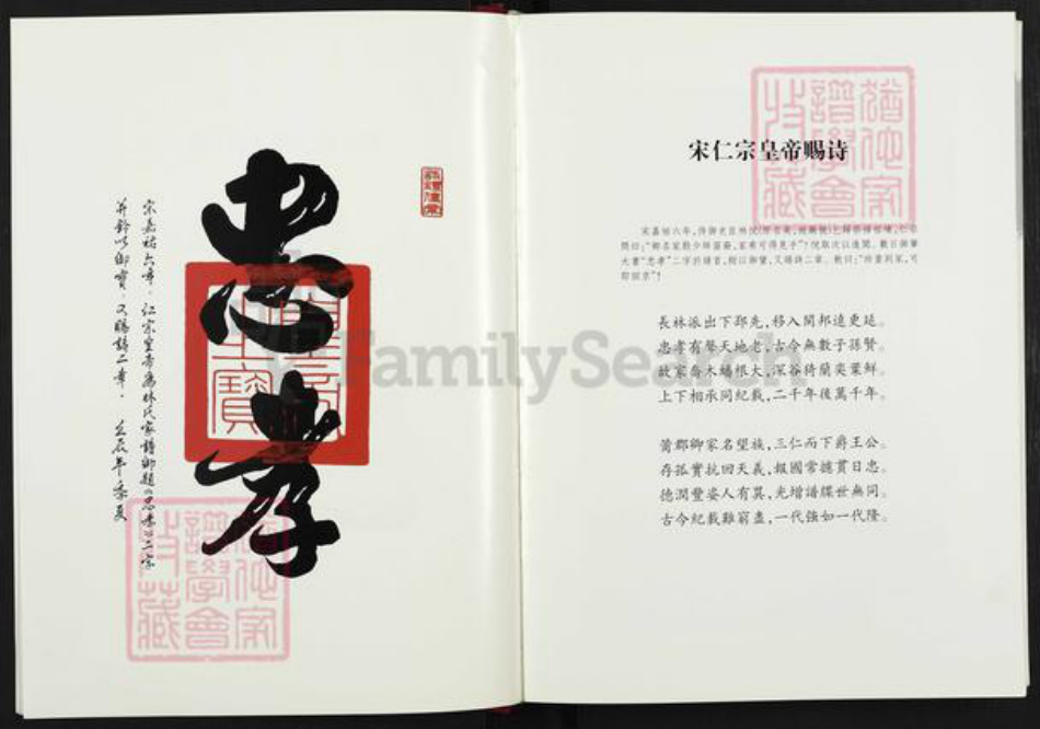 福建省莆田市荔城区林氏族谱-九牧林氏大宗谱.pdf电子版插图3