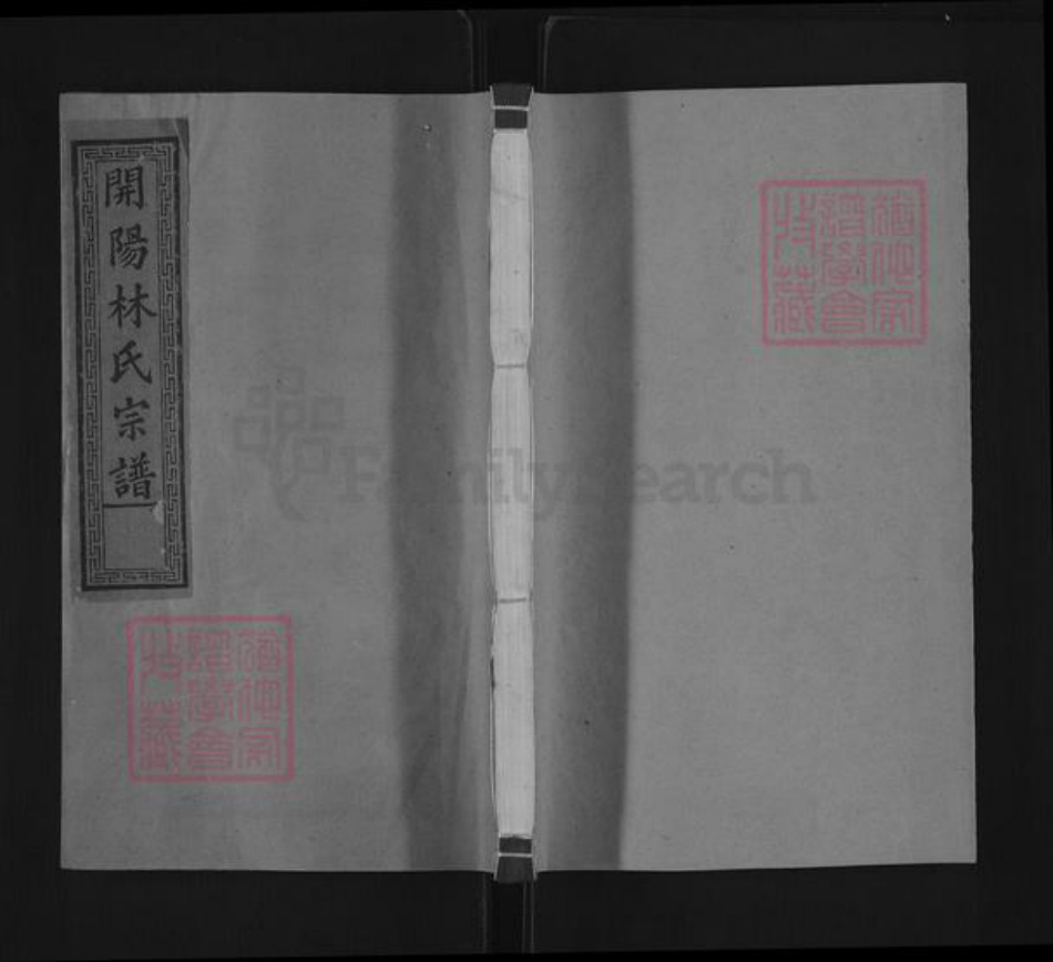 浙江省衢州开化县林氏拾德堂族谱-开阳林氏宗谱.pdf电子版插图