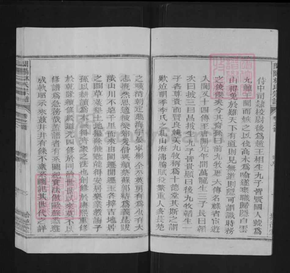 浙江省衢州开化县林氏拾德堂族谱-开阳林氏宗谱.pdf电子版插图2