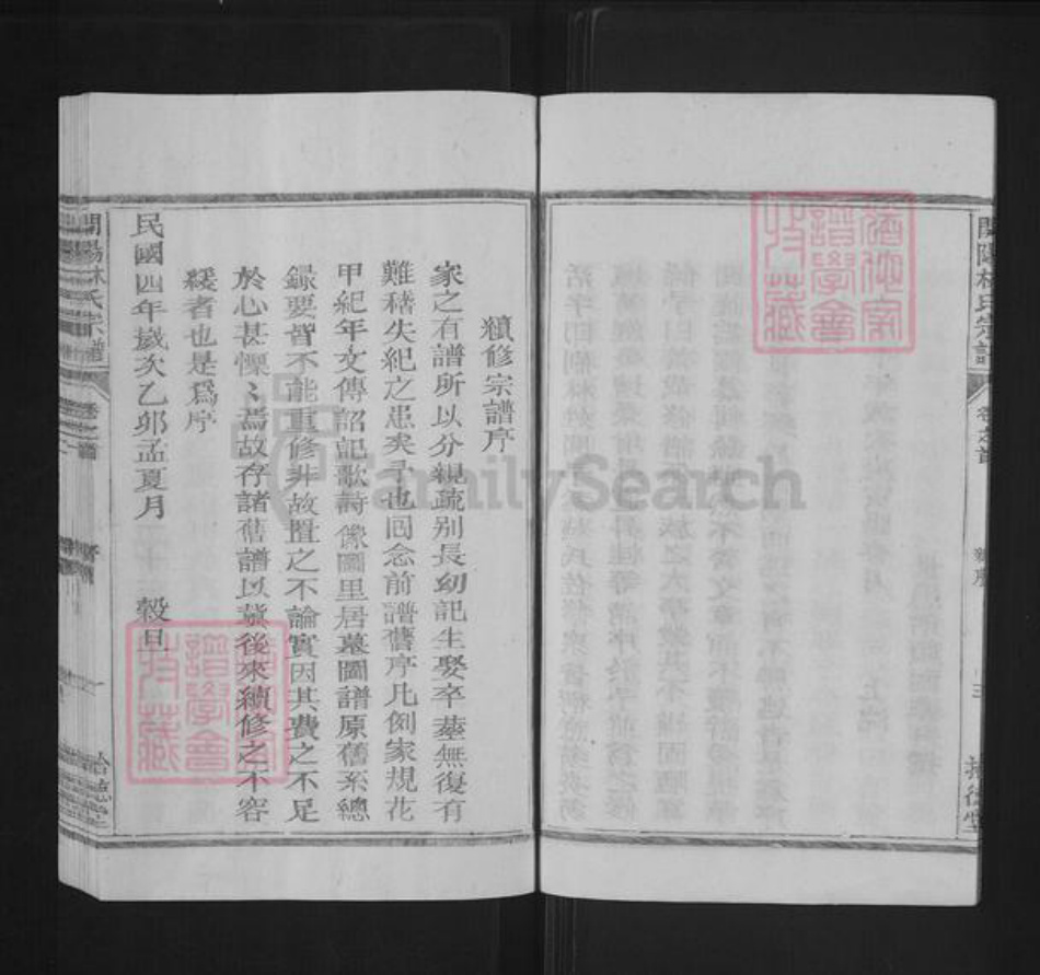 浙江省衢州开化县林氏拾德堂族谱-开阳林氏宗谱.pdf电子版插图4