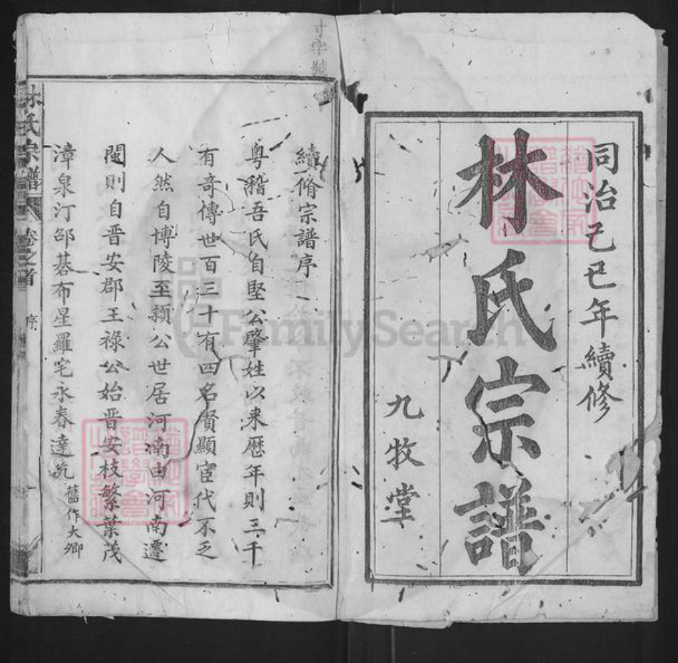 福建省泉州市永春县石鼓镇林氏九牧堂族谱-林氏宗谱.pdf电子版插图1