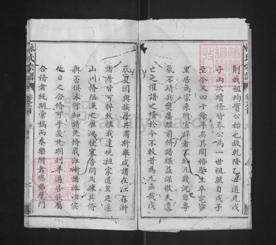 福建省泉州市永春县石鼓镇林氏九牧堂族谱-林氏宗谱.pdf电子版插图2