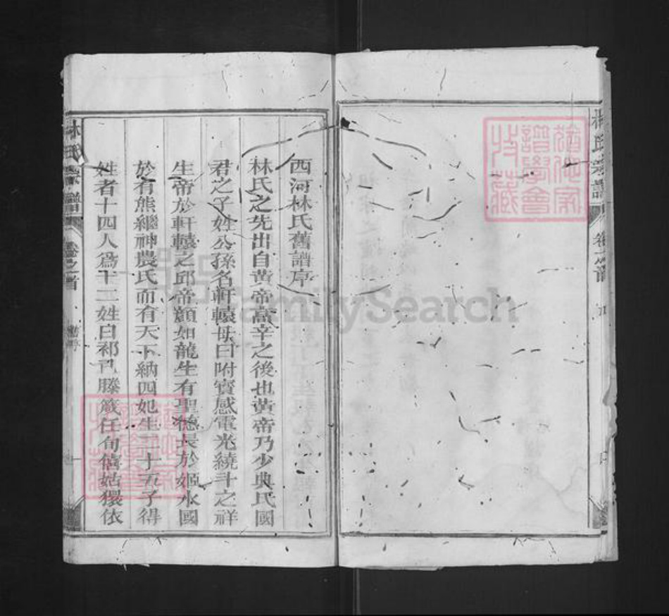 福建省泉州市永春县石鼓镇林氏九牧堂族谱-林氏宗谱.pdf电子版插图5