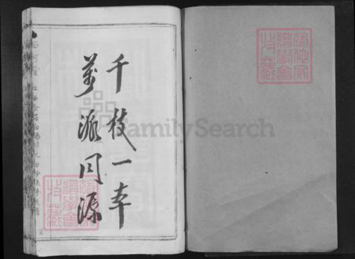 江西省赣州市会昌县白鹅乡林氏西河堂族谱-江西会昌白鹅梓坑白沙联修族谱.pdf电子版插图1
