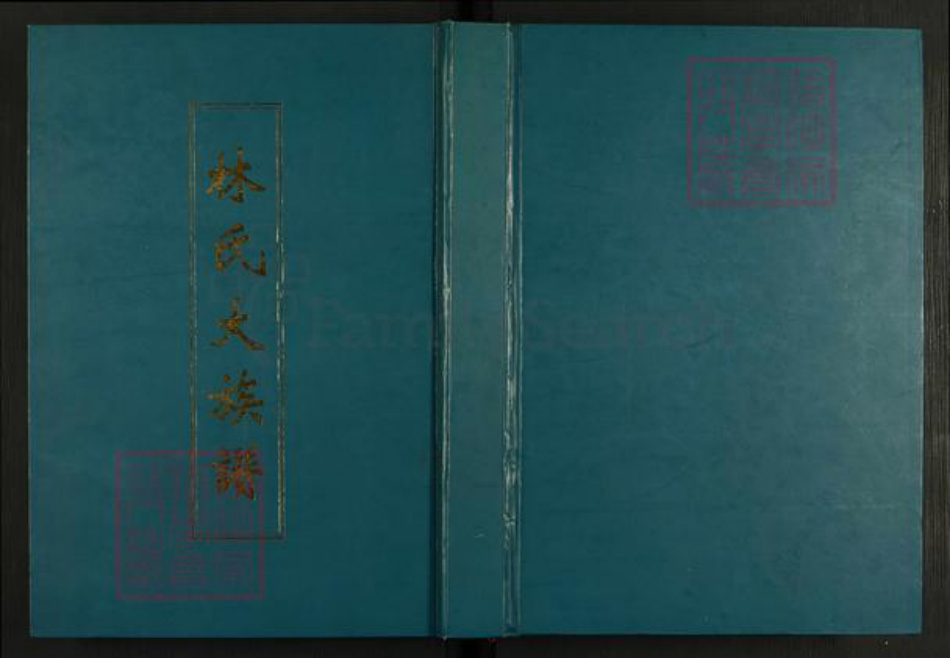 福建省宁德市霞浦县林氏九龙堂族谱-林氏大族谱.pdf电子版插图