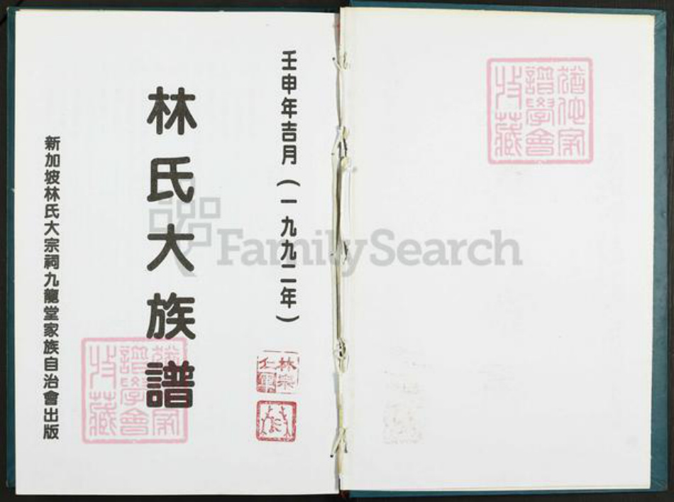 福建省宁德市霞浦县林氏九龙堂族谱-林氏大族谱.pdf电子版插图1