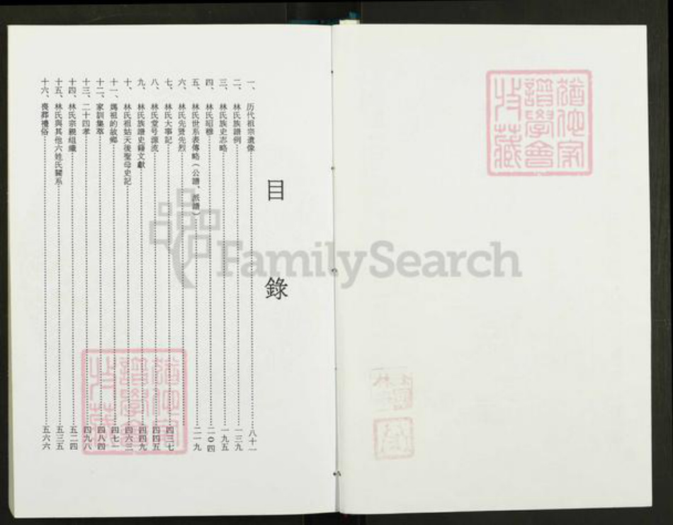 福建省宁德市霞浦县林氏九龙堂族谱-林氏大族谱.pdf电子版插图2