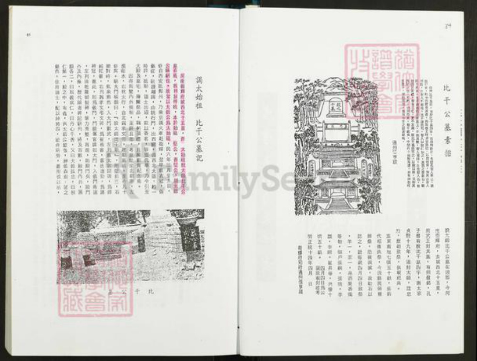 福建省宁德市霞浦县林氏九龙堂族谱-林氏大族谱.pdf电子版插图5