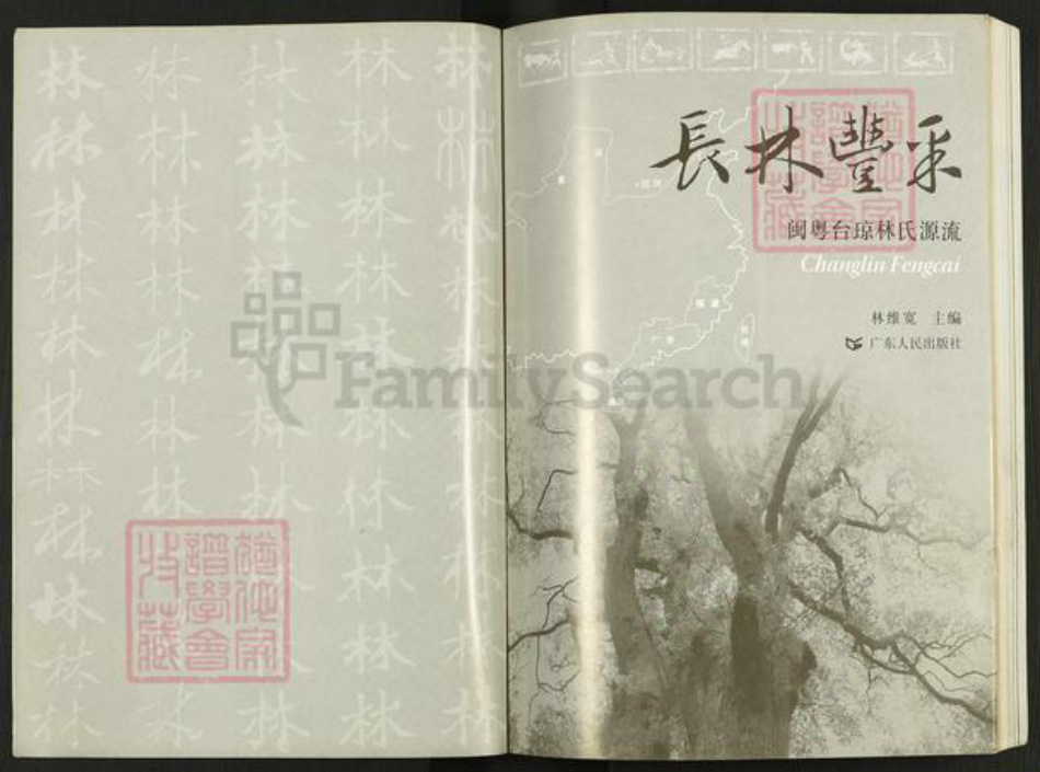 福建省莆田市林氏族谱-长林丰采.闽粤台琼林氏源流.pdf电子版插图1