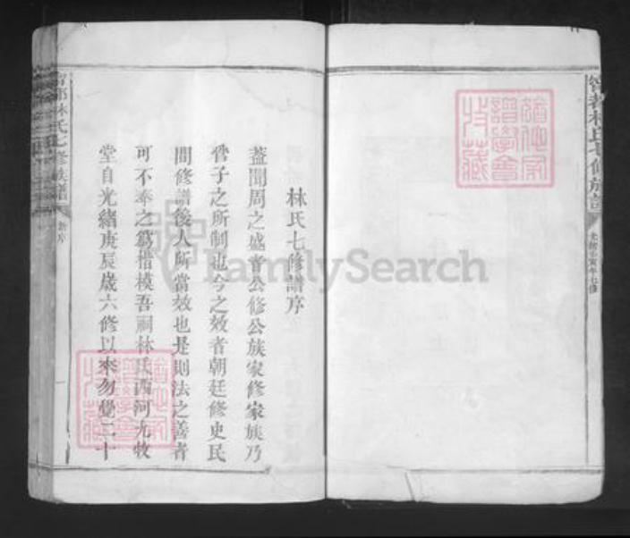江西省赣州市宁都县林氏忠孝堂族谱-宁都林氏七修族谱.pdf电子版插图5
