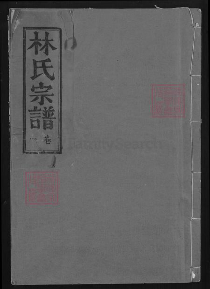 湖北省咸宁市崇阳县金塘镇林氏忠孝堂族谱-林氏宗谱.pdf电子版插图