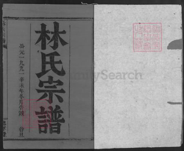 湖北省咸宁市崇阳县金塘镇林氏忠孝堂族谱-林氏宗谱.pdf电子版插图1