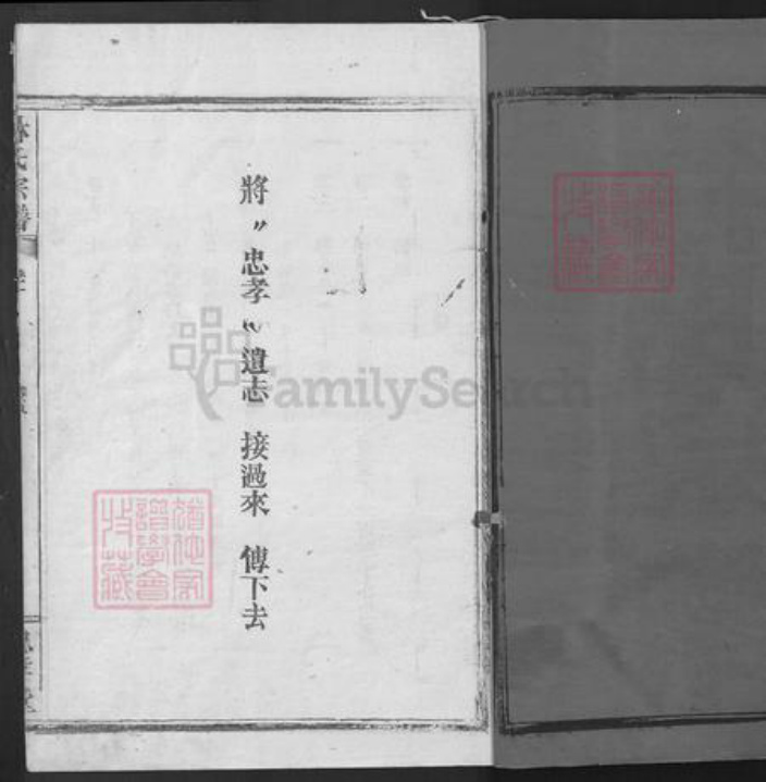 湖北省咸宁市崇阳县金塘镇林氏忠孝堂族谱-林氏宗谱.pdf电子版插图2