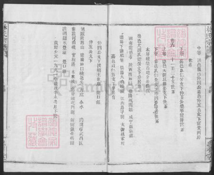 湖北省咸宁市崇阳县金塘镇林氏忠孝堂族谱-林氏宗谱.pdf电子版插图4