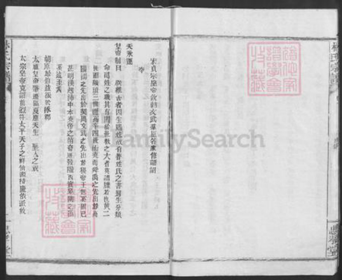 湖北省咸宁市崇阳县金塘镇林氏忠孝堂族谱-林氏宗谱.pdf电子版插图5