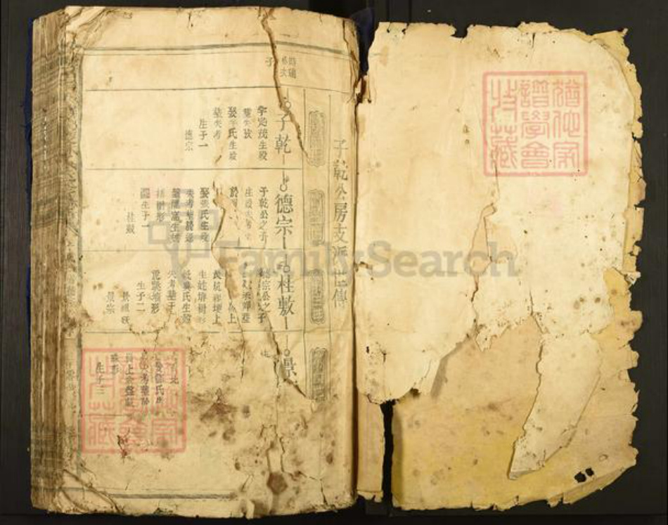江西省赣州市于都县罗江乡林氏济南堂族谱-雩邑西乡罗家渡林氏迭修族谱.pdf电子版插图1