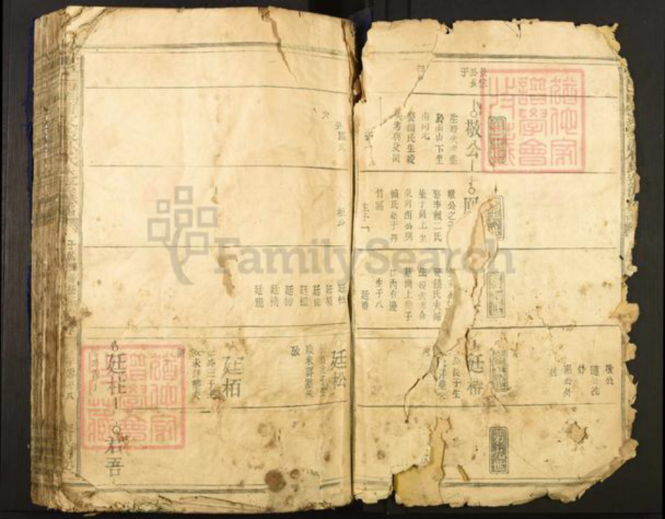 江西省赣州市于都县罗江乡林氏济南堂族谱-雩邑西乡罗家渡林氏迭修族谱.pdf电子版插图2