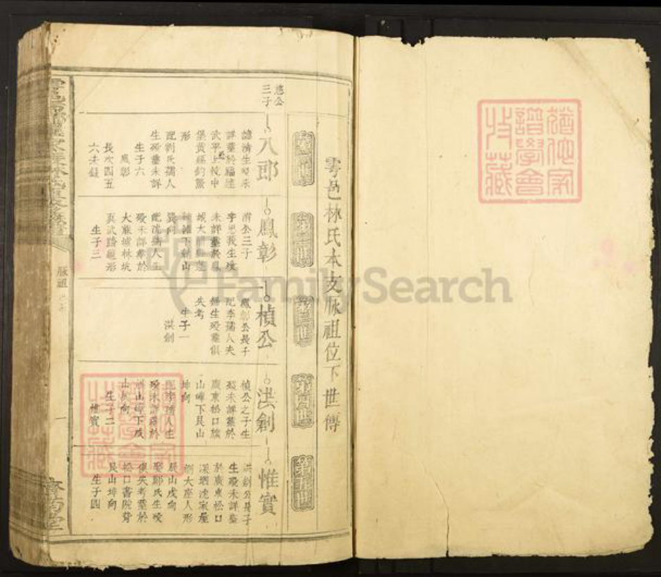 江西省赣州市于都县罗江乡林氏济南堂族谱-雩邑西乡罗家渡林氏迭修族谱.pdf电子版插图1