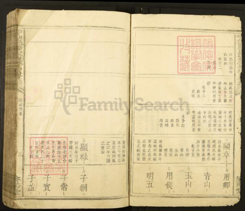 江西省赣州市于都县罗江乡林氏济南堂族谱-雩邑西乡罗家渡林氏迭修族谱.pdf电子版插图3