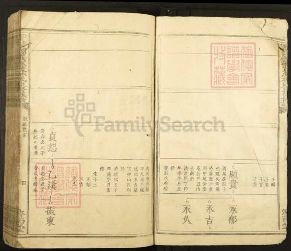 江西省赣州市于都县罗江乡林氏济南堂族谱-雩邑西乡罗家渡林氏迭修族谱.pdf电子版插图4
