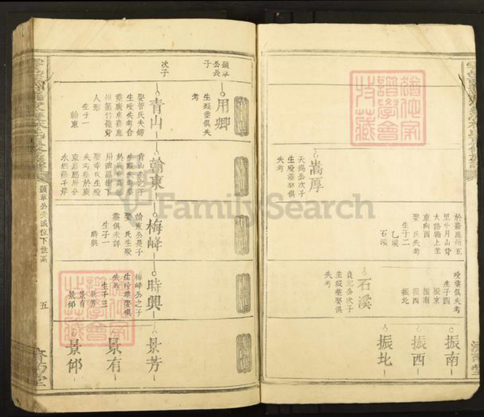 江西省赣州市于都县罗江乡林氏济南堂族谱-雩邑西乡罗家渡林氏迭修族谱.pdf电子版插图5