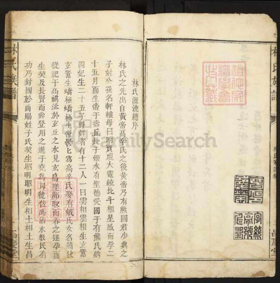 江西省赣州市石城县大由乡林氏昌庆堂族谱-林氏族谱.pdf电子版插图4